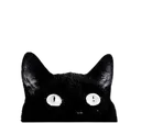 BM_CatPeek