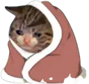 sadkocykcat Discord Emoji