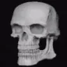 skulgif