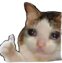 sadcat Discord emoji