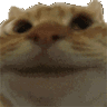 catYes Discord emoji