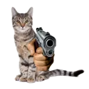catgun2