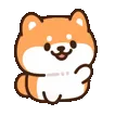 shibawave