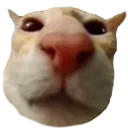 featured_channel Discord Emoji