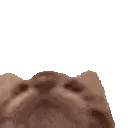 Tasty