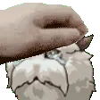 KILLTHEPORO