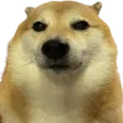 redsStare