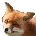 hapfoggs