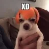 XD
