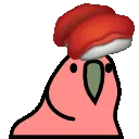 sushiparrot