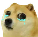 DogeSad