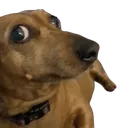 imconcerned