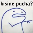 vlt_kisine_pucha