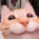 happ