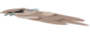 squishOtter