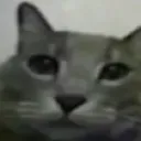 bruh
