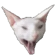lol