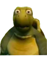 wtf