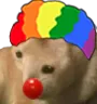 Clownis