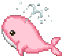 pinkwhale