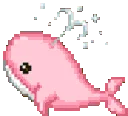 pinkwhale