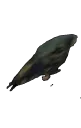 saph_run