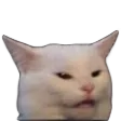 WutCat