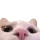 CatPeekS