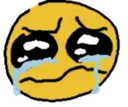 D5_cri