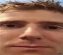 linustex