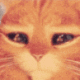 oce_cat Discord Emoji