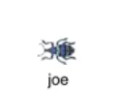 joe