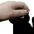 SquishyFIGHTME SquishyFIGHTME