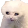 WAAAAAAAA
