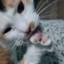 IMG_20220125_221123_515