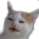 Banana Cat banana_cat Discord Emoji