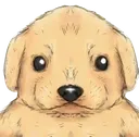 stupiddoggo