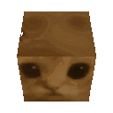 catcubelwf catcubelwf