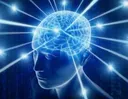 bigbrain