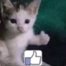michilike_FDB Discord emoji