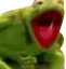 RSKermitHAAAH RSKermitHAAAH