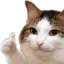 okmeong okmeong