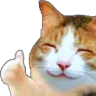 HappyCatThumbsUp