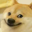 Dogsmile