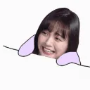 amashirokekboom amashirokekboom
