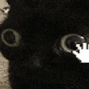 kat