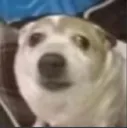 BRUH