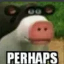 perhaps perhaps