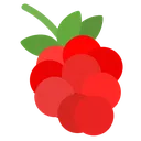 raspberry