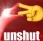 Unshut